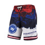 Men's Navy, Red Washington Football Team Americana Shorts