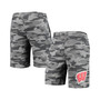 Men's Charcoal, Gray Wisconsin Badgers Camo Backup Terry Jam Lounge Shorts