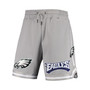 Men's Gray Philadelphia Eagles Core Shorts