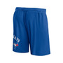 Men's Branded Royal Toronto Blue Jays Clincher Mesh Shorts