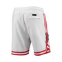 Men's White Boston Red Sox Team Logo Shorts