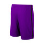 Men's Purple Washington Huskies Thunder Slub Shorts
