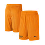 Men's Tennessee Orange Tennessee Volunteers Performance Mesh Shorts