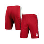 Men's Cardinal Indiana Hoosiers Pool Time Shorts