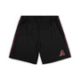 Men's Black Arizona Diamondbacks Big and Tall Mesh Shorts