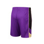 Men's Purple Washington Huskies Pool Time Shorts