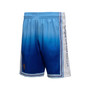 Men's Light Blue and Blue Los Angeles Lakers 1996/97 Hardwood Classics Fadeaway Reload 3.0 Swingman Shorts