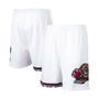 Men's Vancouver Grizzlies Hardwood Classics 1998/99 Swingman Shorts