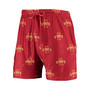 Men's Cardinal Iowa State Cyclones Flagship Allover Print Jam Shorts