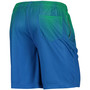Men's Royal and Green Seattle Seahawks Historic Logo Pixel Gradient Training Shorts