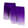 Men's Purple Washington Huskies Walter Shorts