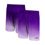 Men's Purple LSU Tigers Walter Shorts