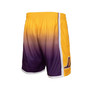 Men's Gold and Purple Los Angeles Lakers 2009/10 Hardwood Classics Fadeaway Reload 3.0 Swingman Shorts