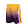 Men's Gold and Purple Los Angeles Lakers 2009/10 Hardwood Classics Fadeaway Reload 3.0 Swingman Shorts