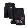 Men's Black Chicago Bulls City Scape Mesh Shorts