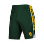 Men's Green Baylor Bears Pool Time Shorts