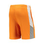Men's Tennessee Orange Tennessee Volunteers Very Thorough Shorts