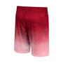 Men's Cardinal Arkansas Razorbacks Walter Shorts