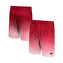 Men's Cardinal Arkansas Razorbacks Walter Shorts