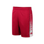Men's Cardinal Arkansas Razorbacks Lazarus Shorts