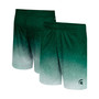 Men's Green Michigan State Spartans Walter Shorts