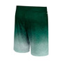 Men's Green Michigan State Spartans Walter Shorts