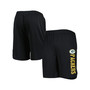 Men's Black Green Bay Packers Team Shorts