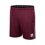 Men's Maroon Texas A&M Aggies Laws of Physics Shorts