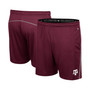 Men's Maroon Texas A&M Aggies Laws of Physics Shorts