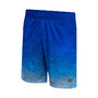 Men's Royal Florida Gators Walter Shorts