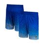 Men's Royal Florida Gators Walter Shorts