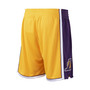Men's Gold Los Angeles Lakers 2009-10 Hardwood Classics Authentic Shorts