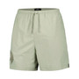 Men's Light Green Minnesota Vikings Neutrals 2.0 Woven Shorts