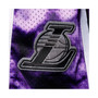 Men's Purple Los Angeles Lakers Hardwood Classics 2009 Galaxy Swingman Shorts