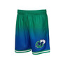 Men's Green and Navy Dallas Mavericks 1998/99 Hardwood Classics Fadeaway Reload 3.0 Swingman Shorts