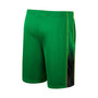 Men's Green Oregon Ducks Lazarus Shorts