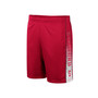 Men's Cardinal Stanford Cardinal Lazarus Shorts