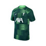 Men's Green Liverpool 2023/24 Academy Pro Pre-Match Top