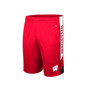 Men's Red Wisconsin Badgers Pool Time Shorts