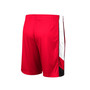Men's Red Wisconsin Badgers Pool Time Shorts