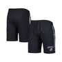 Men's Charcoal Tampa Bay Lightning Team Stripe Shorts