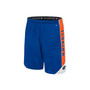 Men's Royal Florida Gators Haller Shorts