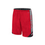 Men's Scarlet Ohio State Buckeyes Haller Shorts