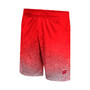 Men's Red Wisconsin Badgers Walter Shorts