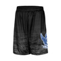 Men's Black Air Force Falcons Broski Shorts