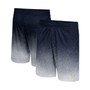 Men's Navy Georgia Tech Yellow Jackets Walter Shorts