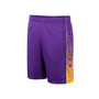 Men's Purple LSU Tigers Lazarus Shorts