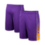 Men's Purple LSU Tigers Lazarus Shorts
