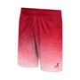 Men's Crimson Alabama Crimson Tide Walter Shorts