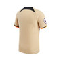 Men's Gold Chelsea 2022/23 Third Authentic Jersey
